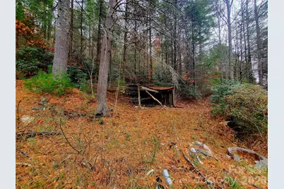 2701 Gouges Creek Road, Spruce Pine, NC 28777 - Photo 4