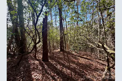 Lots 35, 36 & 37 Fox Den Road #35,36,37, Brevard, NC 28712 - Photo 12