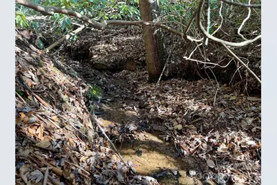 Lots 35, 36 & 37 Fox Den Road #35,36,37, Brevard, NC 28712 - Photo 18