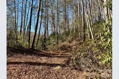 Lots 35, 36 & 37 Fox Den Road #35,36,37, Brevard, NC 28712 - Photo 2