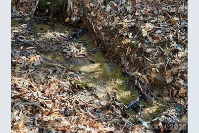 Lots 35, 36 & 37 Fox Den Road #35,36,37, Brevard, NC 28712 - Photo 6