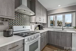 321 Britton Creek Dr, Hendersonville, NC 28791 - Photo 6