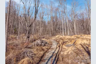 6 Pioneer Lane, Fletcher, NC 28732 - Photo 6