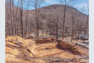 6 Pioneer Lane, Fletcher, NC 28732 - Photo 8