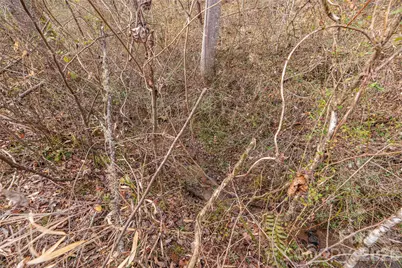 00 Carver Mountain Valley, Sylva, NC 28779 - Photo 18