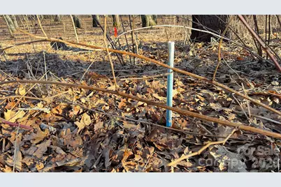 114 Eagle View Circle, Waynesville, NC 28786 - Photo 32