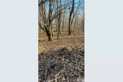 114 Eagle View Circle, Waynesville, NC 28786 - Photo 22