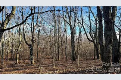 114 Eagle View Circle, Waynesville, NC 28786 - Photo 10