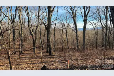 114 Eagle View Circle, Waynesville, NC 28786 - Photo 8