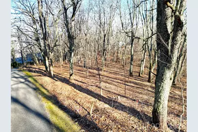 114 Eagle View Circle, Waynesville, NC 28786 - Photo 4