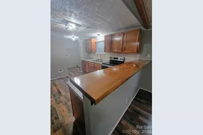 308 Chimney Rock Road, Rutherfordton, NC 28139 - Photo 10