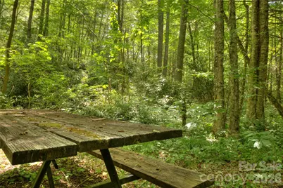 000 Rainbow Trout Drive, Spruce Pine, NC 28777 - Photo 16