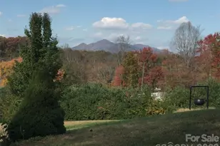 651 Case Cove Rd, Candler, NC 28715 - Photo 44