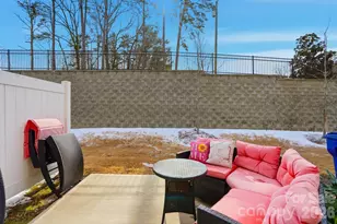 16038 Red Buckeye Ln, Huntersville, NC 28078 - Photo 34