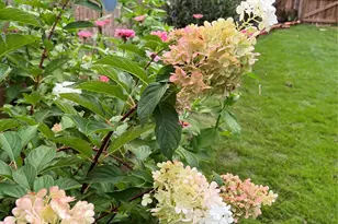 3534 Simmons St, Charlotte, NC 28208 - Photo 34