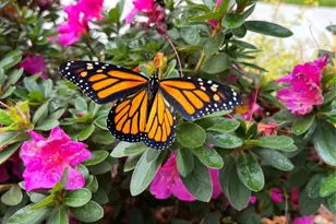 3534 Simmons St, Charlotte, NC 28208 - Photo 32