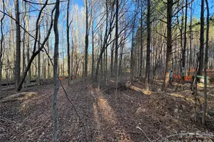 000 Quiver Way, York, SC 29745 - Photo 4