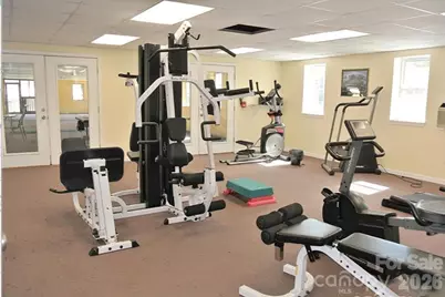 115 Creeks End Circle, Mills River, NC 28759 - Photo 40