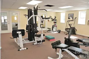 115 Creeks End Cir, Mills River, NC 28759 - Photo 40