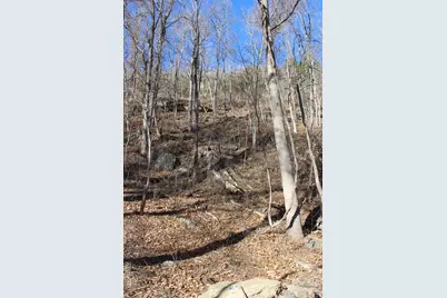 Lot 58 White Oak Mountain Road #58, Columbus, NC 28722 - Photo 18