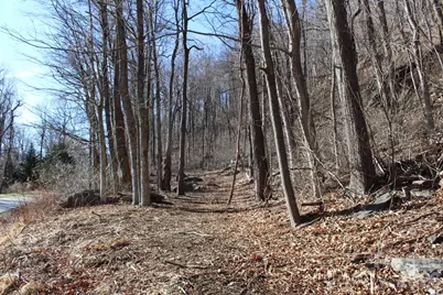 Lot 58 White Oak Mountain Road #58, Columbus, NC 28722 - Photo 30