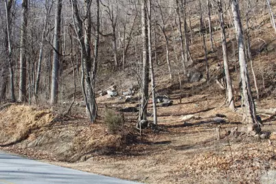 Lot 58 White Oak Mountain Road #58, Columbus, NC 28722 - Photo 12