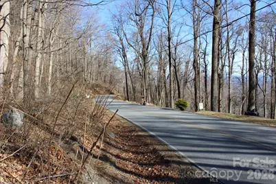 Lot 58 White Oak Mountain Road #58, Columbus, NC 28722 - Photo 14