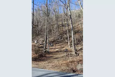 Lot 58 White Oak Mountain Road #58, Columbus, NC 28722 - Photo 8