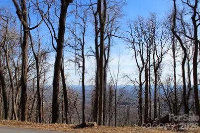 Lot 58 White Oak Mountain Road #58, Columbus, NC 28722 - Photo 6