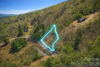 0000 Rogers Cove Road, Waynesville, NC 28785 - Photo 4