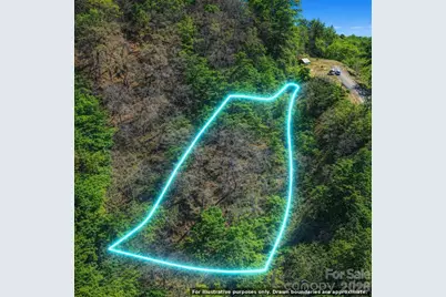 0000 Rogers Cove Road, Waynesville, NC 28785 - Photo 8