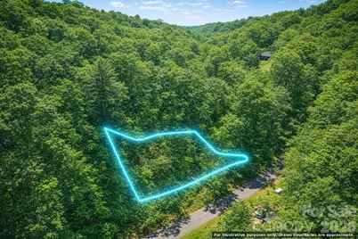 0000 Rogers Cove Road, Waynesville, NC 28785 - Photo 6