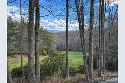 19 Cheestoonaya Way #25, Brevard, NC 28712 - Photo 6