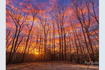 19 Cheestoonaya Way #25, Brevard, NC 28712 - Photo 1