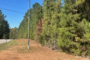 5 Ac Lot 2 Ernandez Rd, Richburg, SC 29729 - Photo 1