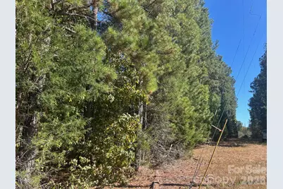 5 Ac Lot 2 Ernandez Road, Richburg, SC 29729 - Photo 16