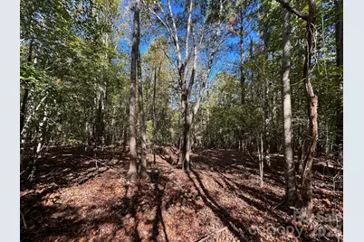 5 Ac Lot 2 Ernandez Road, Richburg, SC 29729 - Photo 24