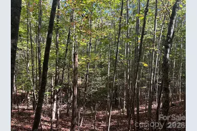 5 Ac Lot 2 Ernandez Road, Richburg, SC 29729 - Photo 32