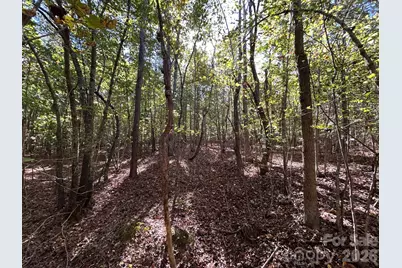 5 Ac Lot 2 Ernandez Road, Richburg, SC 29729 - Photo 26