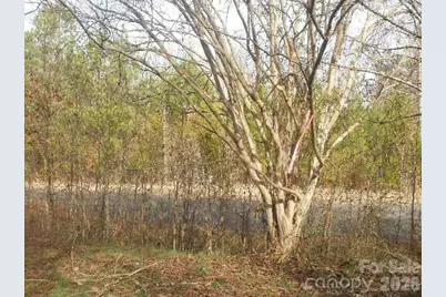 433 Parson Road, Wadesboro, NC 28170 - Photo 10