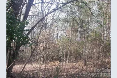 433 Parson Road, Wadesboro, NC 28170 - Photo 8