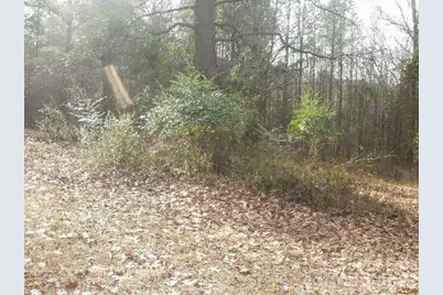 433 Parson Road, Wadesboro, NC 28170 - Photo 6