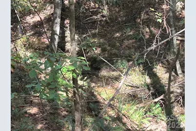 5 Ac Lot 3 Ernandez Road, Richburg, SC 29729 - Photo 34