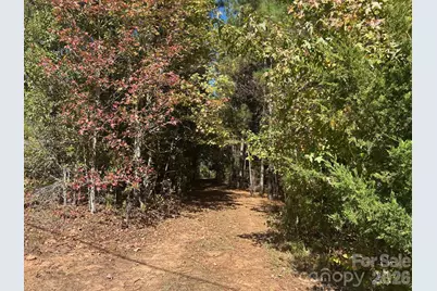 5 Ac Lot 3 Ernandez Road, Richburg, SC 29729 - Photo 16