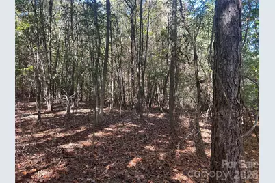 5 Ac Lot 3 Ernandez Road, Richburg, SC 29729 - Photo 4
