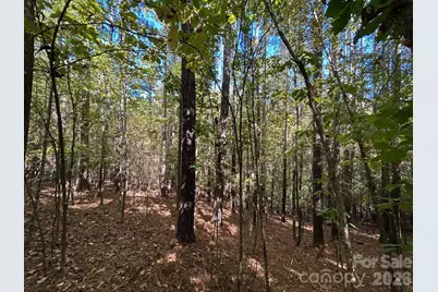 5 Ac Lot 3 Ernandez Road, Richburg, SC 29729 - Photo 36