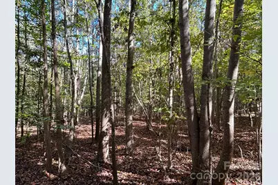 5 Ac Lot 3 Ernandez Road, Richburg, SC 29729 - Photo 22