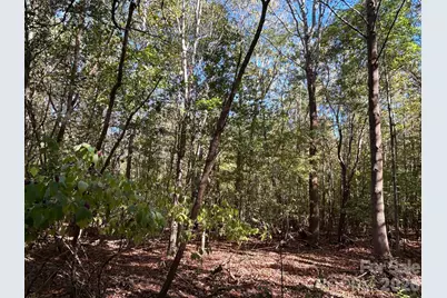 5 Ac Lot 3 Ernandez Road, Richburg, SC 29729 - Photo 20