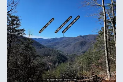 000 Blue Vista Road, Canton, NC 28716 - Photo 26