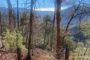 000 Blue Vista Rd, Canton, NC 28716 - Photo 1